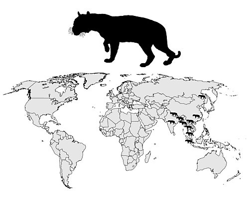 EPS 해외이미지 실루엣 아시아 백그라운드 지도 일러스트 세계 검은색 회색 흰색 호랑이 심볼 사인 대륙 표범 고립 분배 인도차이나반도 해외202004 해외일러스트 나라 컬러 포유류 촬영기법 파일형식 벡터 이미지허브