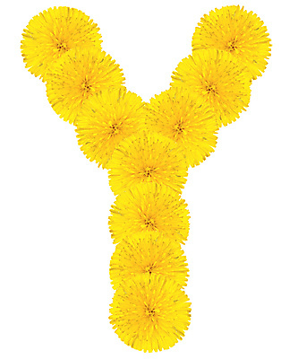 포토 JPG 해외이미지 식물 디자인 알파벳 교육 꽃잎 꽃 꽃다발 꽃무늬 오렌지 텍스트 자연 사람없음 컬러풀 숫자 노란색 머리 정원 봄 벚꽃 개화 메시지 민들레 편지 다발 심볼 향수 사인 냄새 최초 내추럴 고립 초보 많음 해외202004 해외포토 문자 영어 계절 컬러 컨셉 무늬 과일 신체부위 화장품 생태계 파일형식 이미지허브