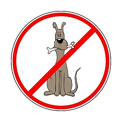 EPS 해외이미지 동물 캐릭터 공원 행복 무기 일러스트 장난 생물 털 종류 미술 안전 앉기 경사 빨간색 반려동물 갈색 검은색 우정 금지 정보 점 개 강아지 치아 위험 만화 혀 심볼 오브젝트 사인 싱글 꼬리 클립 사냥개 법 코믹 고립 돌봄 바보 해외202004 해외일러스트 일러캐릭터 공공시설 감정 컬러 컨셉 포유류 모션 문화예술 친구 입 소화기관 파일형식 벡터 이미지허브