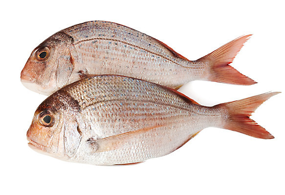 포토 JPG 해외이미지 동물 1 음식 바다 분홍색 조각 백그라운드 어류 요리 사람없음 주방 침묵 흰색 신선 해조류 맛 은색 먹기 해산물 준비 꼬리 날것 도미 내추럴 고립 해외202004 해외포토 컬러 컨셉 모션 수중동물 소리 해양식물 파일형식 이미지허브