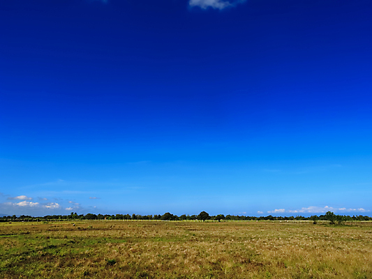 포토 JPG 해외이미지 나무 지구 밭 농업 자연 하늘 표면 추상 건조 사람없음 야외 여름 환경 뜨거움 갈증 질감 지역 내추럴 땅바닥 생태학 해외202004 해외포토 식물 계절 교육 산업 무늬 바닥 생태계 파일형식 이미지허브