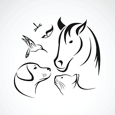 EPS 해외이미지 동물 디자인 실루엣 백그라운드 날개 일러스트 비즈니스 포유류 자연 미술 앉기 사람없음 그래픽 반려동물 세트 픽토그램 검은색 고양이 흰색 개 잠자리 보호 만화 래브라도리트리버 수집 심볼 사인 그림 윤곽 비글 수의사 송곳니 고립 돌봄 벌새 엘리먼트 유래 해외202004 해외일러스트 컬러 곤충 컨셉 모션 문화예술 촬영기법 의사 리트리버 치아 생태계 파일형식 벡터 이미지허브