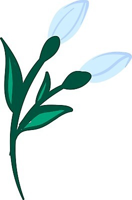 EPS 해외이미지 식물 디자인 계절 꽃잎 꽃 실루엣 꽃다발 백그라운드 잎 꽃무늬 패턴 일러스트 자연 벽지 미술 그래픽 장식 초록색 파란색 정원 봄 벚꽃 흰색 인사 신선 신용카드 인쇄 오브젝트 그림 내추럴 고립 엘리먼트 헌병 스타일 해외202004 해외일러스트 컬러 무늬 문화예술 촬영기법 금융 군인 예절 생태계 파일형식 벡터 직업 경제 국군 이미지허브