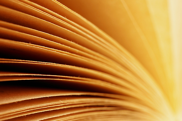 포토 JPG 해외이미지 모양 종이 백그라운드 패턴 곡선 추상 사람없음 책 빛 독서 질감 페이지 해외202004 해외포토 선 무늬 파일형식 이미지허브