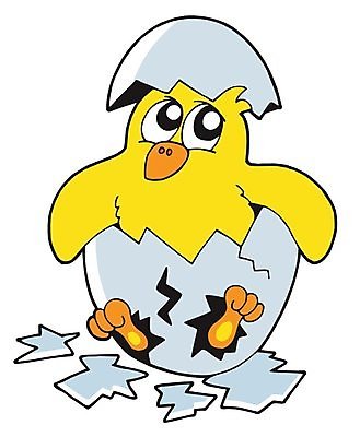 EPS 해외이미지 동물 디자인 날개 일러스트 조류 컬러풀 노란색 계란 치킨 껍질 흰색 그리기 닫기 작음 만화 깃털 묘사 그림 부리 부화 고립 돌봄 동물상 캡모자 해외202004 해외일러스트 모자_잡화 컬러 모션 조형물 알 크기 닭고기요리 파일형식 벡터 이미지허브