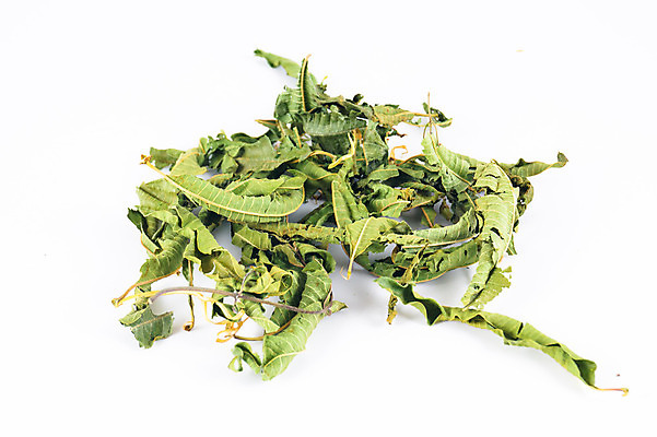 포토 JPG 해외이미지 식물 꽃잎 꽃 분홍색 백그라운드 꽃무늬 오렌지 자연 건조 건강 사람없음 야외 초록색 건강관리 정원 보라색 센터 닫기 정상 허브 묘사 유기농 원예 꽃가루 동쪽 고슴도치 보충 면역력 영원 치유 해외202004 해외포토 웰빙 컬러 무늬 과일 포유류 모션 관리 취미 가루 방향 생태계 파일형식 이미지허브