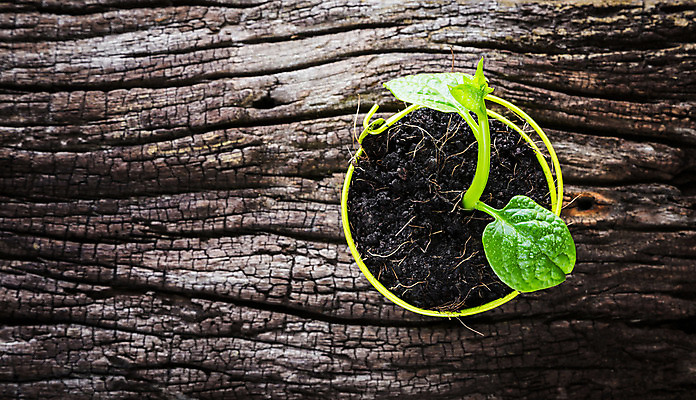 포토 JPG 해외이미지 나무 식물 길 지구 백그라운드 컨셉 잎 자연 새로움 건강 사람없음 목재 초록색 정원 봄 성장 흰색 신선 도자기 보호 냄비 작음 컨테이너 자르기 유기농 원예 먼지 점토 내추럴 개발 고립 돌봄 모종 묘목 생태학 엘리먼트 옛날 취급주의 생존 해외202004 해외포토 웰빙 계절 교육 산업 컬러 재료 모션 경고 취미 솥 크기 생태계 파일형식 이미지허브