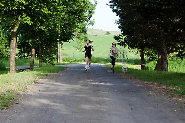 포토 JPG 해외이미지 나무 동물 백인 공원 행복 도로 어린이 밭 자연 놀이 거리 건강 사람 야외 두명 초록색 친구 반려동물 달리기 운동 농장 우정 자유 시골 잡기 개 연도 내추럴 해외202004 해외포토 서양인 식물 공공시설 감정 길 컬러 컨셉 농업 포유류 관계 교통시설 모션 생태계 파일형식 이미지허브