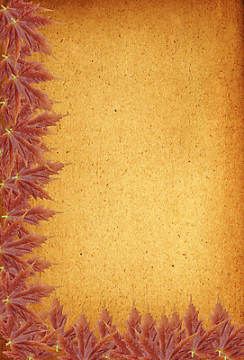 포토 JPG 해외이미지 클립아트 템플릿 계절 종이 조각 잎 일러스트 프레임 미술 사람없음 갈색 노란색 추위 수확 가을 흰색 미끄럼틀 앨범 편지 그림 질감 복고 테이프 페이지 뼈대 모음 한조각 판지 그런지 스크랩북 옛날 스타일 해외202004 해외포토 식물 1 컬러 농업 문화예술 문구용품 한글 놀이기구 파일형식 이미지허브