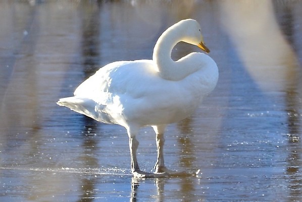 포토 JPG 해외이미지 사람없음 해외202004 해외포토 파일형식 이미지허브