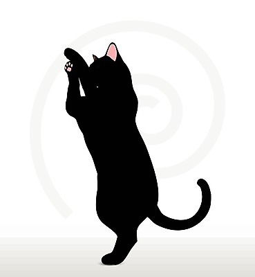 EPS 해외이미지 모양 동물 실루엣 포즈 일러스트 포유류 자연 그림자 사람없음 그래픽 반려동물 검은색 고양이 권투 호랑이 사자 스케치 흰배경 윤곽 표범 고립 엘리먼트 재규어 스라소니 해외202004 해외일러스트 컬러 백그라운드 촬영기법 미술 격투기 흰색 생태계 파일형식 벡터 이미지허브