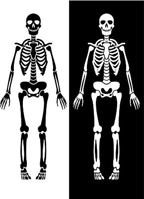 EPS 해외이미지 실루엣 백그라운드 일러스트 해부 휴가 골격 검은색 중국 할로윈 흰색 그늘 무서움 고립 해외202004 해외일러스트 감정 아시아 컬러 의학 촬영기법 파일형식 벡터 이미지허브