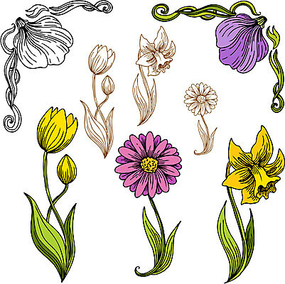 EPS 해외이미지 클립아트 모양 식물 디자인 꽃잎 꽃 선 줄기 잎 꽃무늬 일러스트 자연 미술 그래픽 장식 소용돌이 모서리 낙서 스케치 그림 데이지 클립 수선화 내추럴 엘리먼트 해외202004 해외일러스트 무늬 문화예술 회오리 생태계 파일형식 벡터 이미지허브