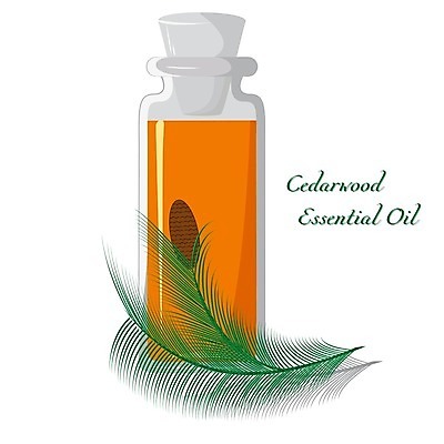 EPS 해외이미지 꽃다발 일러스트 유리 유리병 스파 맛 가득함 향수 플라스크 흰배경 향기 아로마 아로마테라피 악취 내추럴 고립 돌봄 삼나무 해외202004 해외일러스트 나무 꽃 백그라운드 컨셉 모션 재질 병_용기 실험기구 화장품 흰색 냄새 테라피 파일형식 벡터 이미지허브