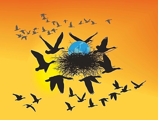 EPS 해외이미지 디자인 지구 일러스트 자연 그래픽 지구본 환경 검은색 일몰 폭포 행성 그림 거위 돌봄 해외202004 해외일러스트 컬러 모션 조류 우주 노을 생태계 파일형식 벡터 이미지허브