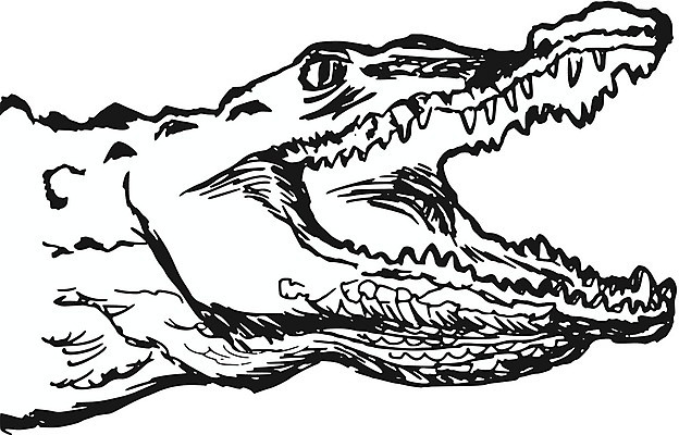 EPS 해외이미지 동물 일러스트 파충류 아프리카 자연 동물원 가죽 만화 스케치 피부 악어 손그림 고립 해외202004 해외일러스트 나라 미술 신체부위 생태계 파일형식 벡터 이미지허브