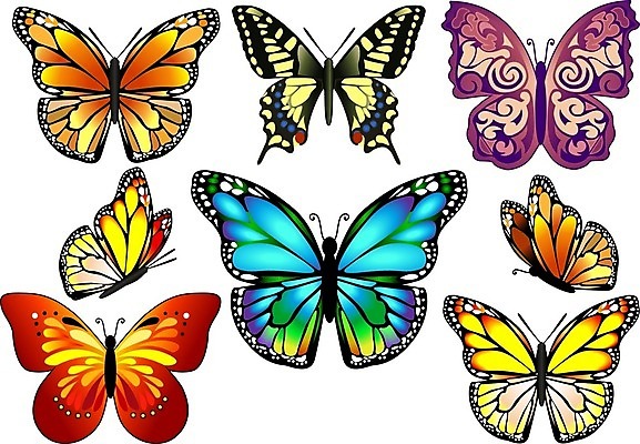 EPS 해외이미지 모양 손 디자인 실루엣 나비 곤충 결혼 백그라운드 패턴 날개 일러스트 자연 벽지 추상 창조 미술 그래픽 장식 여름 파란색 세트 컬러풀 페인트 화려 수집 심볼 사인 복고 생물학 고립 그런지 엘리먼트 현실 해외202004 해외일러스트 동물 계절 교육 컬러 컨셉 무늬 문화예술 촬영기법 이벤트 신체부위 생태계 파일형식 벡터 이미지허브