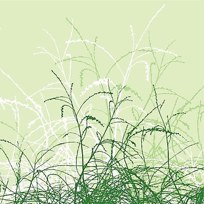 EPS 해외이미지 모양 식물 디자인 배너 백그라운드 잎 꽃무늬 패턴 곡선 일러스트 추상 프레임 미술 장식 페인트 소용돌이 나뭇가지 점 화려 우아함 심볼 질감 그런지 엘리먼트 해외202004 해외일러스트 나무 꽃 선 컨셉 무늬 문화예술 회오리 파일형식 벡터 이미지허브