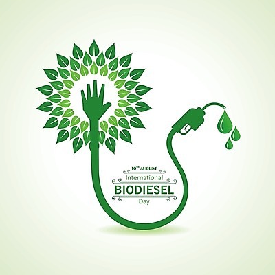 EPS 해외이미지 식물 디자인 컨셉 잎 지도 일러스트 자연 초록색 지구본 환경 재활용 에너지 알코올 플랫 역 심볼 사인 에코 유기농 생태계 연료 가스 자원 내추럴 고립 노즐 디젤 바이오 생태학 인터페이스 카놀라 화학물질 해외202004 해외일러스트 웰빙 교육 컬러 교통시설 화학 친환경 파일형식 벡터 이미지허브