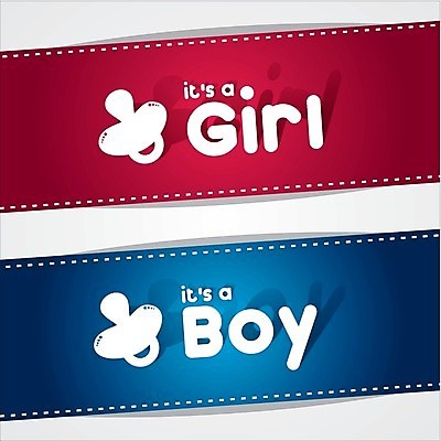 EPS 해외이미지 템플릿 전통 디자인 배너 행복 어린이 분홍색 백그라운드 패턴 일러스트 가족 추상 기념 사랑 소년 장식 파란색 장난감 파티 놀람 기쁨 수확 축하 아기 신생아 인사 신용카드 발표 생일 달콤 만화 도착 복고 초대 환영 샤워실 세례 해외202004 해외일러스트 기념일 남자 감정 컬러 컨셉 무늬 농업 관계 표정 사람 이벤트 금융 예절 맛 샤워시설 파일형식 벡터 이미지허브