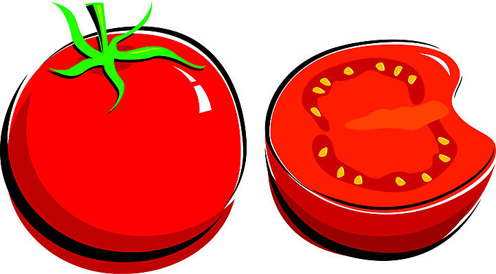 EPS 해외이미지 토마토 채소 일러스트 건강 빨간색 초록색 신선 건강식 고립 해외202004 해외일러스트 음식 컬러 파일형식 벡터 이미지허브