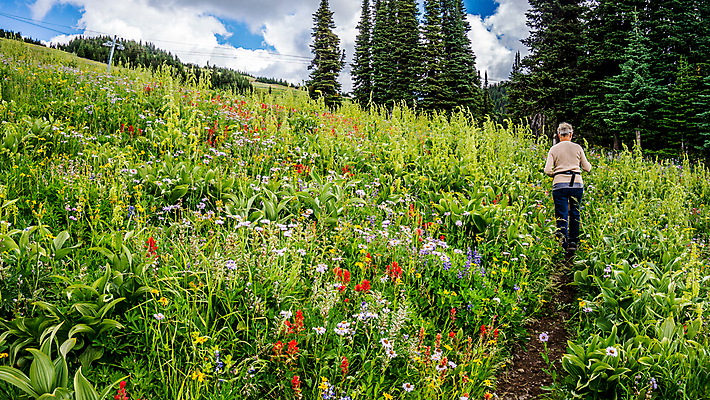 포토 JPG 해외이미지 나무 구름 꽃 캐나다 자국 자연 하늘 산 한명 풍경 경사 옆모습 빨간색 초록색 여름 파란색 컬러풀 맑음 페인트 하이킹 흰색 붓 개화 숲 인도인 언덕 페인트붓 장면 상록수 절정 해외202004 해외포토 자연요소 외국인 식물 1 계절 뷰포인트 컬러 북아메리카 레저 날씨 사람 동양인 생태계 파일형식 이미지허브