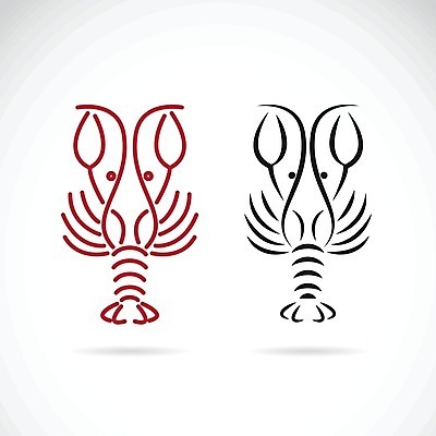 EPS 해외이미지 동물 손 디자인 포스터 음식 바다 백그라운드 일러스트 재료 자연 조개 새우 건강 육류 갑각류 어류 요리 미술 사람없음 그래픽 빨간색 식당 식사 저녁식사 수확 껍질 흰색 신선 시장 가재 바닷가재 만화 스케치 문신 심볼 해산물 오브젝트 사인 메뉴 그림 고립 집게발 해외202004 해외일러스트 컬러 농업 식재료 문화예술 어패류 신체부위 상점 수중동물 생태계 파일형식 벡터 산업 사람 이미지허브