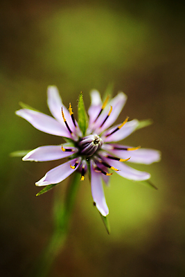 포토 JPG 해외이미지 식물 디자인 계절 꽃 분홍색 백그라운드 꽃무늬 밭 자연 아침 추상 풍경 사람없음 야외 빨간색 초록색 여름 파란색 빛 컬러풀 태양 환경 정원 맑음 놀람 봄 수확 벚꽃 가을 흰색 신선 개화 부드러움 내추럴 해외202004 해외포토 주간 자연요소 감정 컬러 무늬 농업 날씨 표정 감각 생태계 파일형식 이미지허브