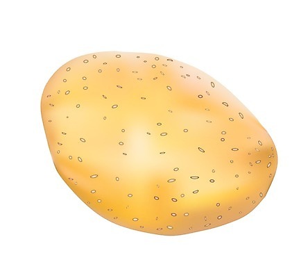 EPS 해외이미지 음식 농업 다이어트 채소 일러스트 자연 감자 건강 요리 갈색 노란색 수확 가을 흰색 신선 유기농 날것 뿌리 망사 고립 녹말 밭일 탄수화물 해외202004 해외일러스트 웰빙 계절 산업 컬러 직물 생태계 파일형식 벡터 이미지허브