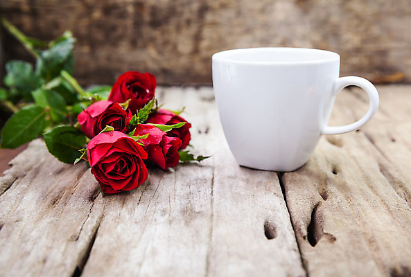 포토 JPG 해외이미지 식물 디자인 꽃잎 꽃 커피 음료 꽃다발 백그라운드 꽃무늬 휴가 발렌타인데이 사랑 사람없음 목재 장식 컵 가로 빨간색 컬러풀 장미 벚꽃 흰색 축하 인사 연기 달콤 소프트포커스 수증기 커피잔 배열 심볼 질감 강렬 블러 해외202004 해외포토 나무 식기 감정 컬러 컨셉 무늬 재료 데이이벤트 잔 촬영기법 예절 맛 파일형식 이미지허브