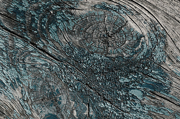 포토 JPG 해외이미지 벽 백그라운드 패턴 자연 표면 추상 사람없음 목재 초록색 페인트 거친 널 질감 그런지 수목 옛날 해외202004 해외포토 나무 컬러 무늬 재료 생태계 파일형식 이미지허브