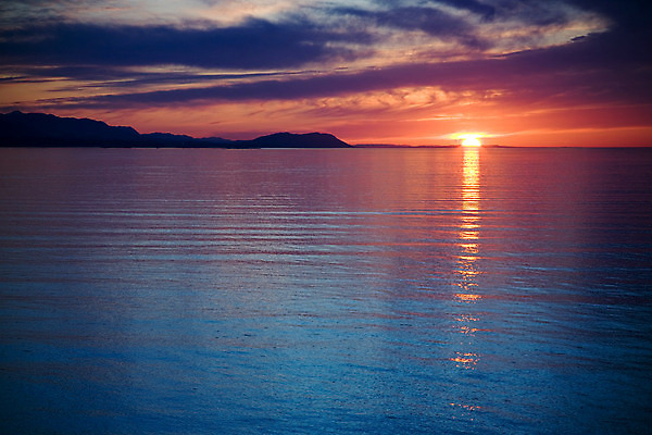 포토 JPG 해외이미지 공원 바다 자연 조류 하늘 아침 풍경 사람없음 야외 물 여름 반사 평화 일출 침묵 황혼 일몰 새벽 야간 저녁 해외202004 해외포토 주간 자연요소 동물 계절 공공시설 컨셉 노을 소리 생태계 파일형식 이미지허브