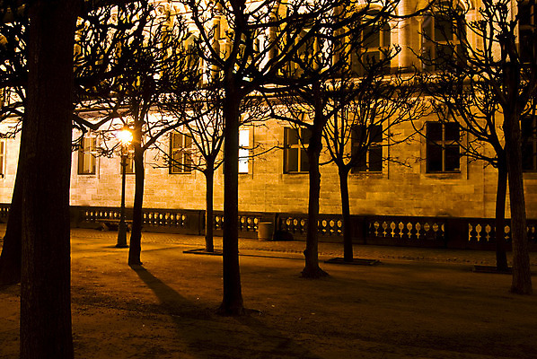 포토 JPG 해외이미지 나무 식물 실루엣 백그라운드 겨울 창문 자연 주택 사람없음 야외 건물 노란색 야간 문학 해외202004 해외포토 자연요소 건축물 계절 컬러 촬영기법 생태계 파일형식 이미지허브