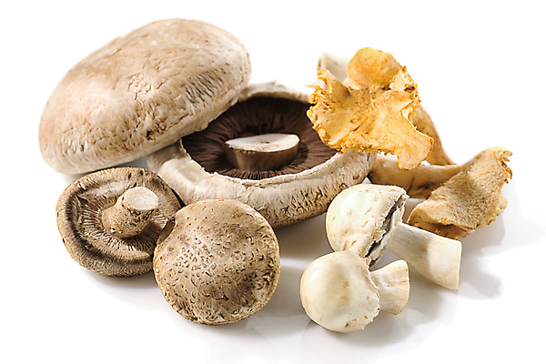 포토 JPG 해외이미지 식물 라이프스타일 음식 백그라운드 채소 과일 건강 사람없음 갈색 식사 버섯 흰색 신선 숲 자르기 오브젝트 준비 유기농 향기 내추럴 고립 곰팡이 숙성 채식주의자 스타일 비건 해외202004 해외포토 웰빙 컬러 모션 생활 채식 냄새 파일형식 이미지허브