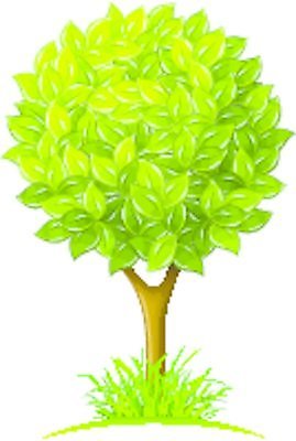 EPS 해외이미지 나무 식물 1 디자인 줄기 백그라운드 잎 일러스트 자연 왕관 풍경 목재 초록색 여름 흰색 시골 원형 자르기 그림 원예 고립 해외202004 해외일러스트 도형 계절 컬러 재료 모션 취미 생태계 파일형식 벡터 이미지허브