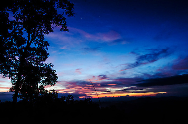 포토 JPG 해외이미지 나무 식물 구름 백그라운드 밭 자연 하늘 산 풍경 사람없음 가로 여름 빛 태양 노란색 일출 환경 맑음 일몰 새벽 수확 성장 시골 황금 낟알 땅 장면 내추럴 해외202004 해외포토 자연요소 계절 컬러 농업 날씨 노을 생태계 파일형식 이미지허브