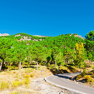 포토 JPG 해외이미지 나무 유럽 도로 선 여행 곡선 교통시설 자연 하늘 산 항해 경고 안전 풍경 사람없음 야외 초록색 파란색 마을 환경 골짜기 가을 스페인 숲 위험 아스팔트 지중해 사인 정사각형 굴곡 길가 방법 생태학 스페인어 절정 해외202004 해외포토 도형 식물 계절 교육 나라 길 바다 컬러 교통 컨셉 배_교통 시설 생태계 파일형식 이미지허브