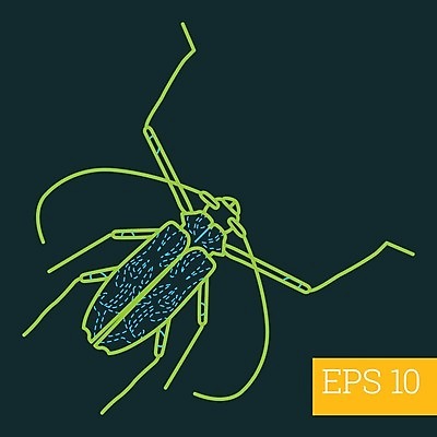 EPS 해외이미지 디자인 야생동물 선 곤충 절지류 일러스트 그래픽 픽토그램 주름 벌레 딱정벌레 심볼 오브젝트 사인 그림 심플 윤곽 고립 얇은 엘리먼트 해외202004 해외일러스트 동물 파일형식 벡터 이미지허브