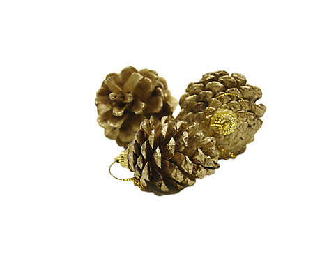 포토 JPG 해외이미지 나무 전통 디자인 계절 행복 백그라운드 크리스마스 겨울 패턴 공 휴가 주택 매달리기 선물 취미 사람없음 장식 빛 컬러풀 축제 화환 흰색 축하 소나무 선택 12월 묘사 오브젝트 원뿔 고립 엘리먼트 여의주 해외202004 해외포토 도형 식물 기념일 꽃 감정 컬러 컨셉 무늬 모션 건물 날짜 파일형식 이미지허브