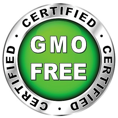 EPS 해외이미지 음료 음식 농업 인터넷 다이어트 일러스트 비즈니스 자연 옥수수 라벨 환경 금속 웹 금지 원형 상품 심볼 사인 에코 유기농 내추럴 돌봄 무료 바이오 밭일 생태학 유전 유전자변형 제어 채식주의자 해외202004 해외일러스트 도형 웰빙 교육 산업 모션 재질 곡류 프레임 건강 생태계 채식 파일형식 벡터 이미지허브