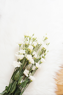 포토 JPG 해외이미지 라이프스타일 꽃 분홍색 꽃다발 결혼 백그라운드 꽃무늬 텍스트 휴가 바닥 주택 털 선물 사랑 사람없음 내부 목재 장식 초록색 여름 유행 봄 카펫 벚꽃 흰색 시골 신선 생일 고급 다발 내추럴 블로거 스칸디나비아 스타일 세련 해외202004 해외포토 나무 식물 계절 기념일 감정 컬러 컨셉 무늬 재료 이벤트 건물 생활 파일형식 이미지허브