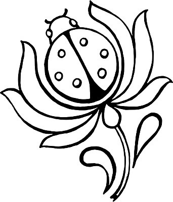 EPS 해외이미지 디자인 꽃 백그라운드 잎 일러스트 수채화 미술 사람없음 검은색 스케치 무당벌레 손그림 해외202004 해외일러스트 식물 컬러 곤충 문화예술 파일형식 벡터 이미지허브