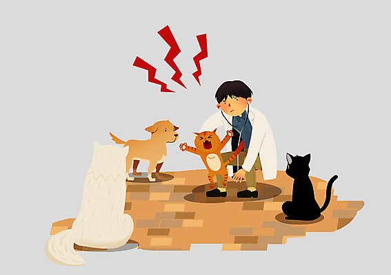 PSD 동물 남자 일러스트 청진기 병원 한명 사람 치료 건강관리 고양이 강아지 수의사 남자만 남자한명만 국내일러스트 1 포유류 의학 의료기기 건강 관리 반려동물 의사 개 파일형식