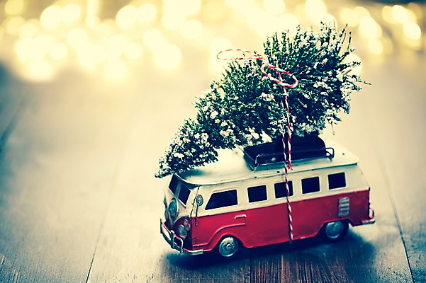 포토 JPG 스튜디오촬영 백그라운드 크리스마스장식 크리스마스 자동차 크리스마스용품 실내 사람없음 아웃포커스 장식 크리스마스트리 배송 오브젝트 국내포토 기념일 육상교통 촬영기법 내부 용품 파일형식