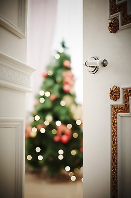 포토 JPG 스튜디오촬영 백그라운드 크리스마스장식 크리스마스 크리스마스용품 실내 사람없음 아웃포커스 장식 크리스마스트리 오브젝트 방문 국내포토 기념일 촬영기법 내부 용품 파일형식