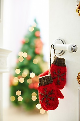 포토 JPG 스튜디오촬영 장갑 백그라운드 크리스마스장식 크리스마스 크리스마스용품 실내 사람없음 아웃포커스 장식 크리스마스트리 오브젝트 문고리 방문 국내포토 잡화 기념일 촬영기법 내부 문 용품 파일형식