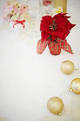 포토 JPG 스튜디오촬영 꽃 백그라운드 크리스마스장식 크리스마스 크리스마스용품 실내 사람없음 아웃포커스 장식 방울 오브젝트 포인세티아 국내포토 식물 기념일 촬영기법 내부 용품 파일형식