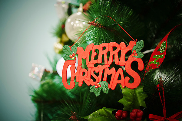 포토 JPG 스튜디오촬영 백그라운드 크리스마스장식 크리스마스 크리스마스용품 실내 사람없음 아웃포커스 장식 크리스마스트리 오브젝트 국내포토 기념일 촬영기법 내부 용품 파일형식