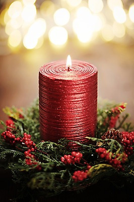 포토 JPG 스튜디오촬영 꽃 백그라운드 크리스마스장식 크리스마스 초 촛불 크리스마스용품 조명 실내 사람없음 아웃포커스 장식 오브젝트 국내포토 식물 기념일 촬영기법 내부 용품 파일형식