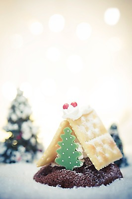 포토 JPG 스튜디오촬영 음식 백그라운드 크리스마스장식 크리스마스 크리스마스용품 주택 실내 사람없음 크리스마스트리 과자 국내포토 기념일 디저트 내부 건물 용품 파일형식